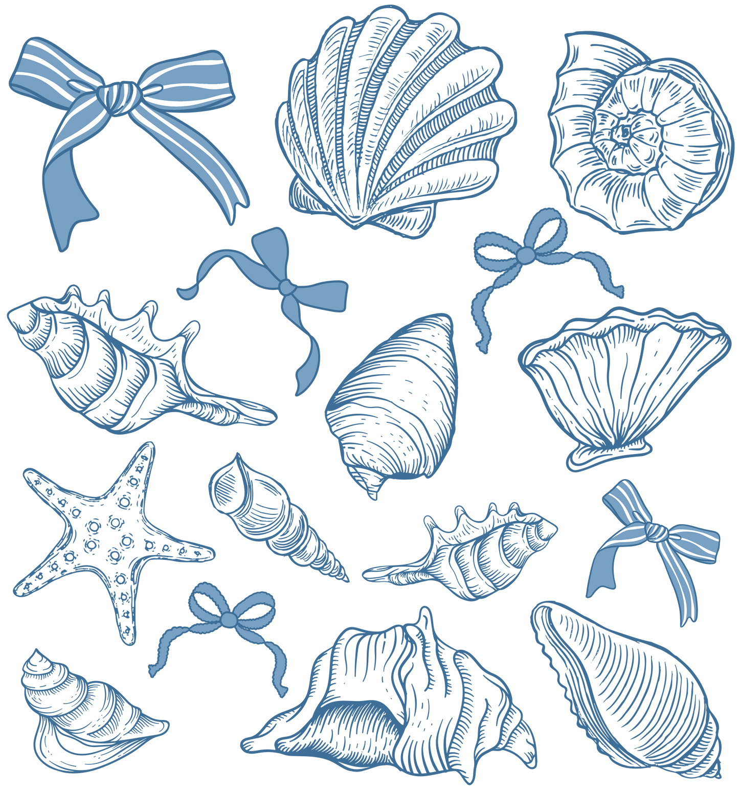 Seashells & Bows