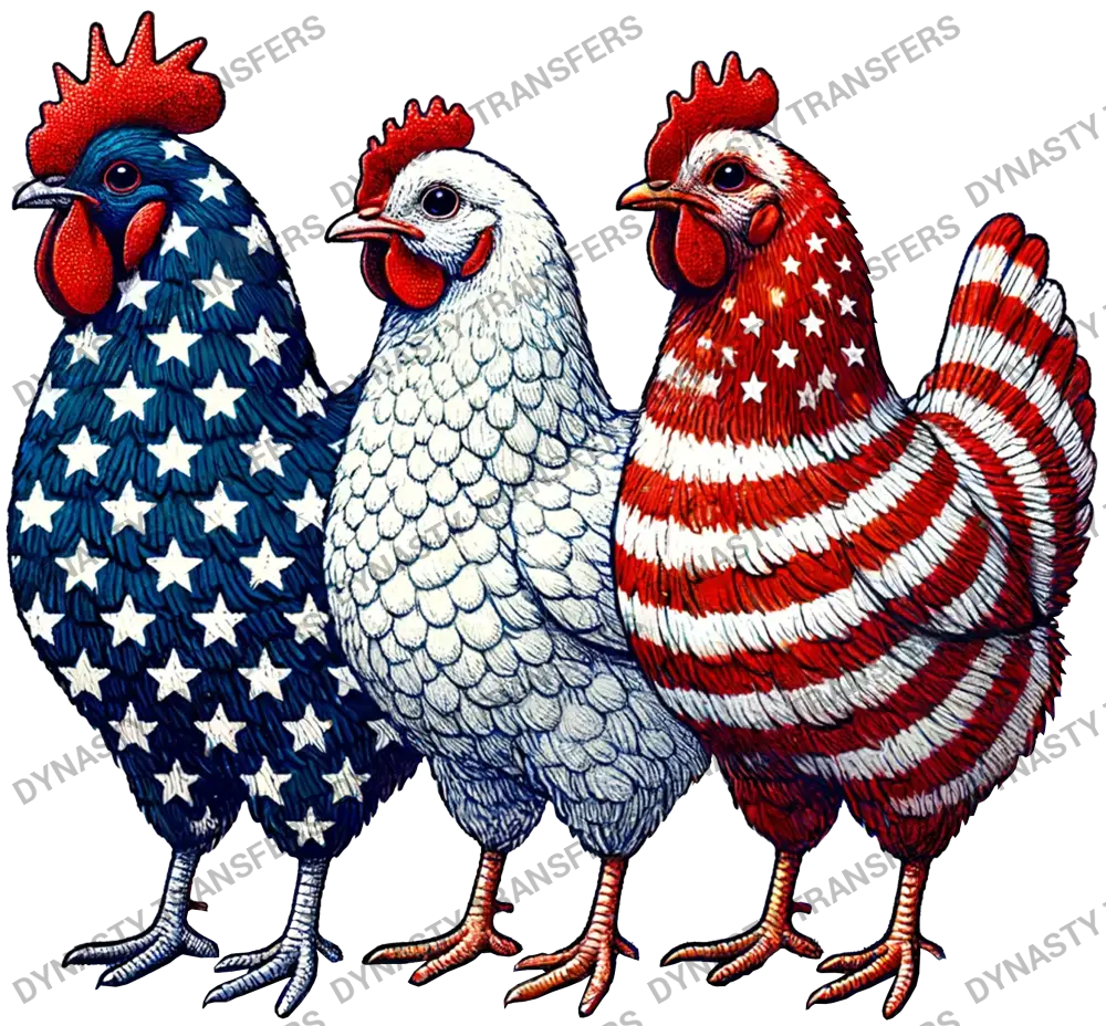 American Flag Chickens