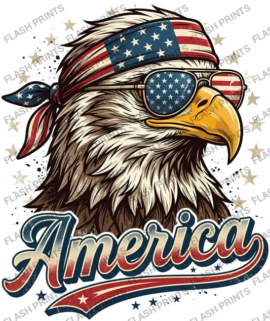 4th Of July Eagle - Adult
