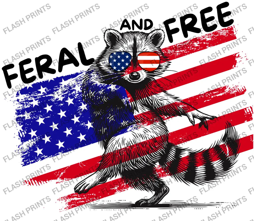 Feral And Free Raccoon - Adult