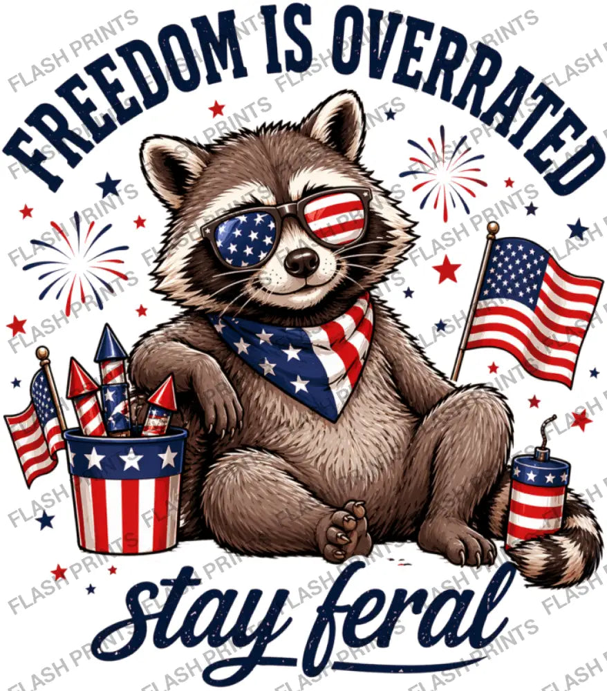 Freedom Bandit Raccoon - Adult