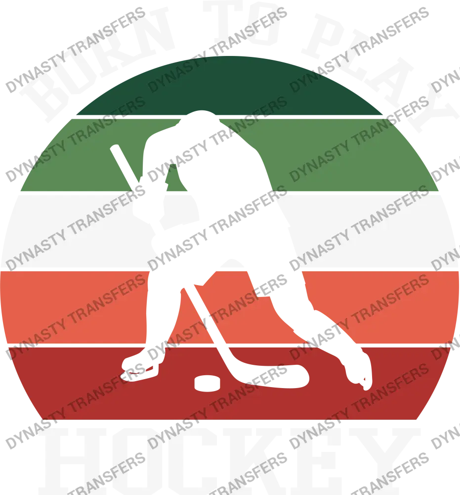 Ice Hockey 11