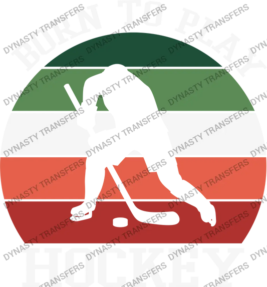 Ice Hockey 11