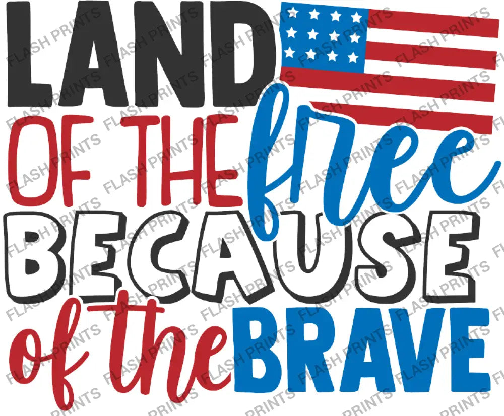 Land of the Free Brave - Adult