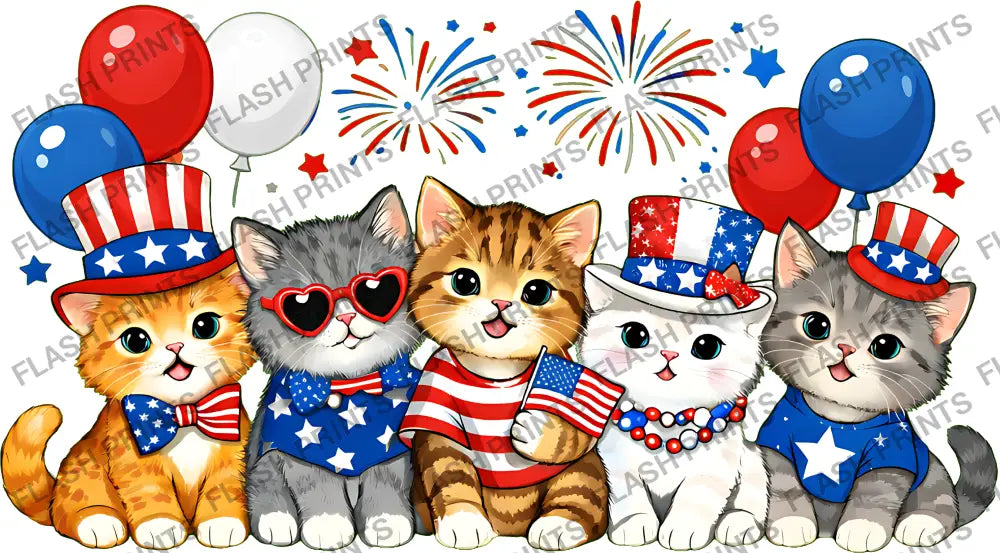 Patriotic Kitten Crew - Adult