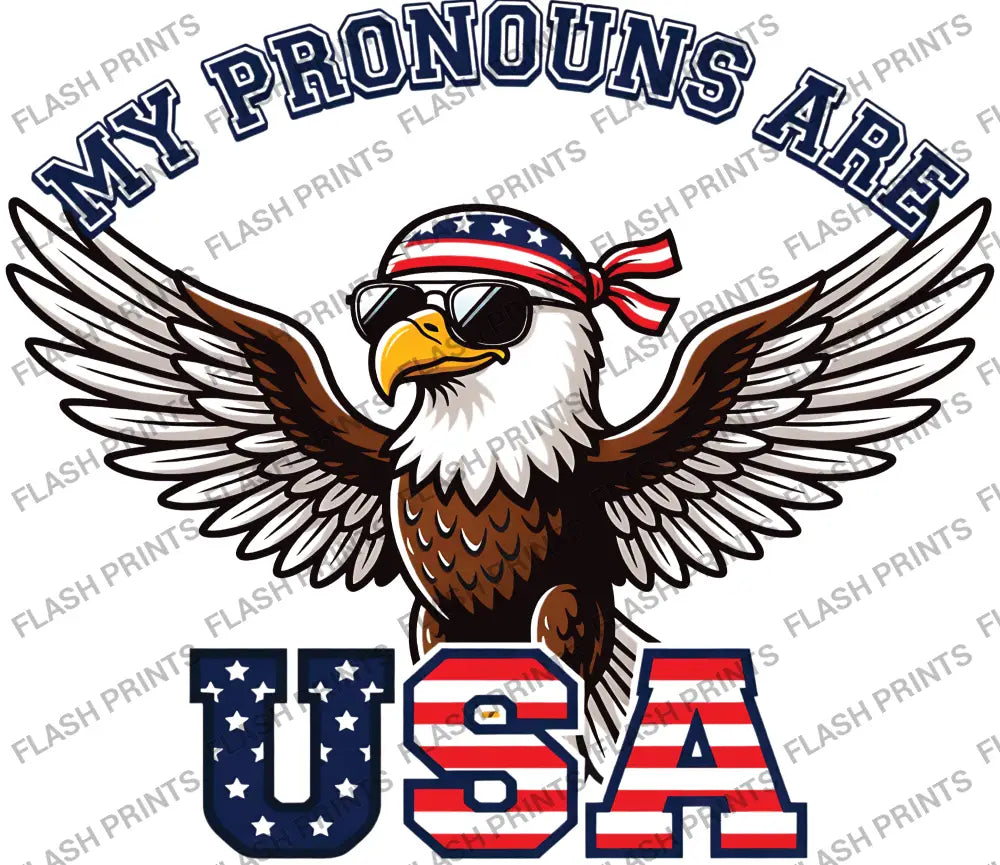 Pronouns Are USA Eagle - Adult