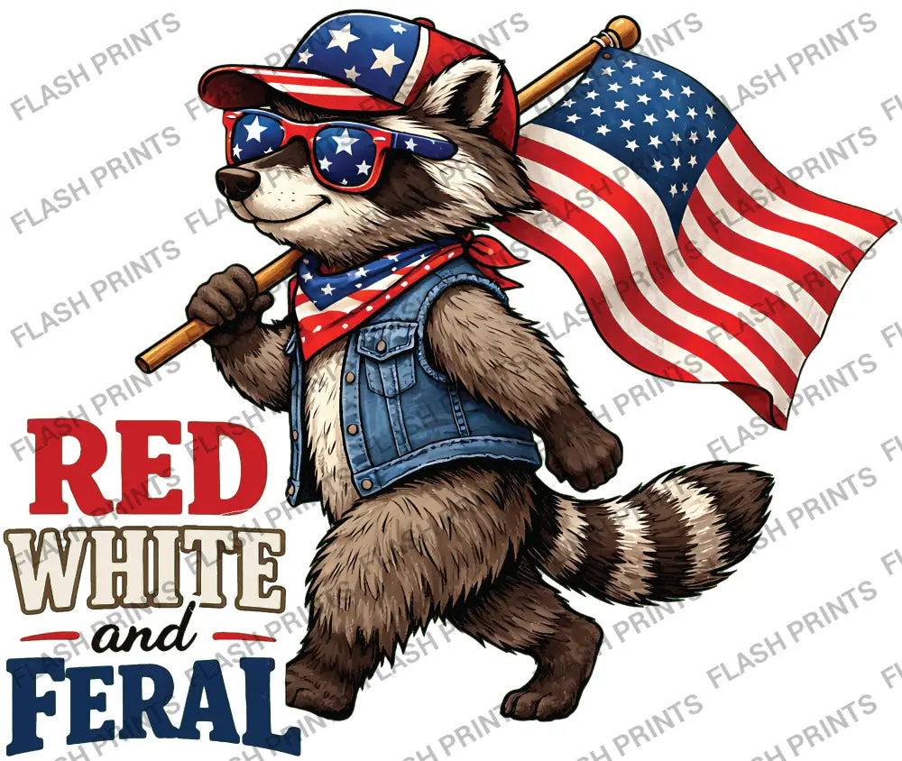 Red White and Feral Raccoon - Adult