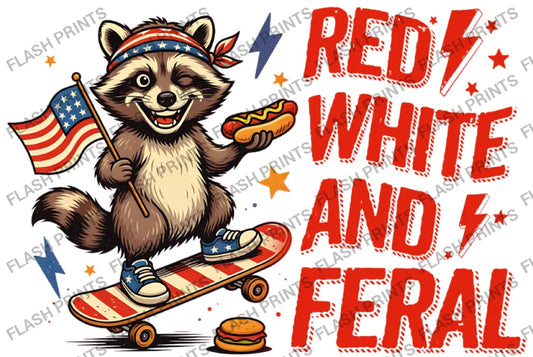 Red White & Feral Raccoon - Adult