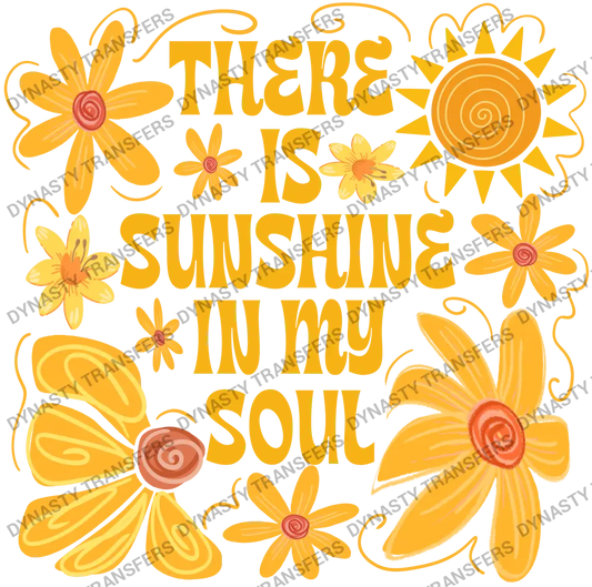 Sunshine In My Soul